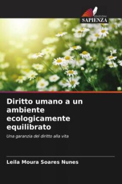 Diritto umano a un ambiente ecologicamente equilibrato