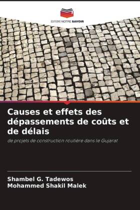 Causes et effets des dépassements de coûts et de délais