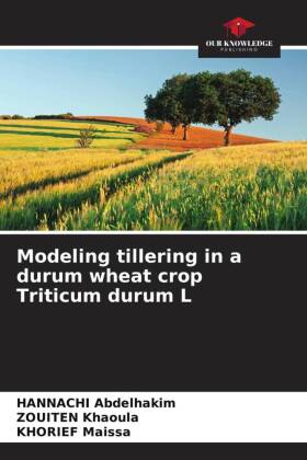 Modeling tillering in a durum wheat crop Triticum durum L