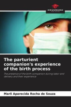 The parturient companion's experience of the birth process