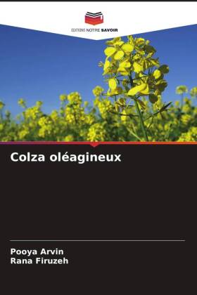 Colza oléagineux