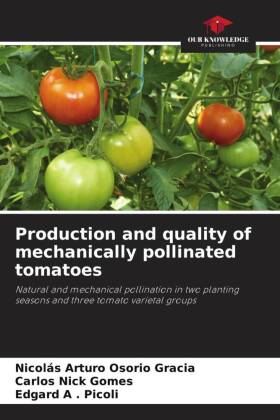 Production and quality of mechanically pollinated tomatoes