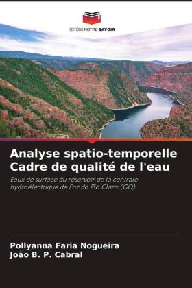 Analyse spatio-temporelle Cadre de qualité de l'eau