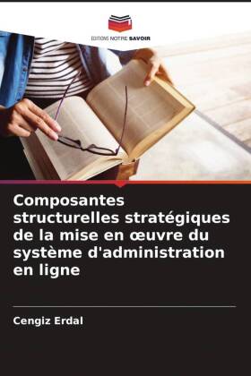 Composantes structurelles stratégiques de la mise en oeuvre du système d'administration en ligne