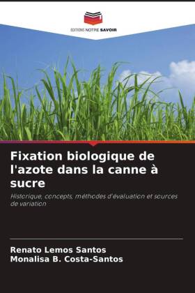 Fixation biologique de l'azote dans la canne à sucre