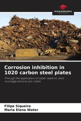 Corrosion inhibition in 1020 carbon steel plates