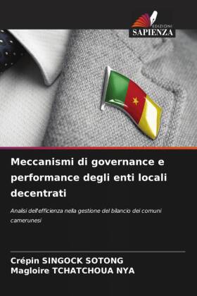 Meccanismi di governance e performance degli enti locali decentrati