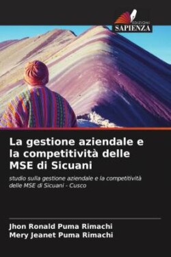 La gestione aziendale e la competitività delle MSE di Sicuani