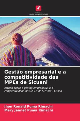 Gestão empresarial e a competitividade das MPEs de Sicuani