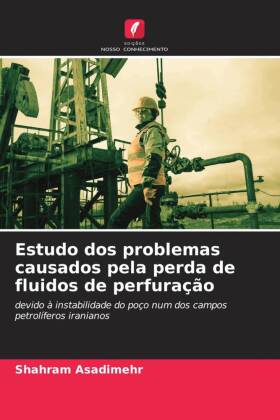 Estudo dos problemas causados pela perda de fluidos de perfuração