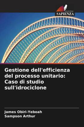 Gestione dell'efficienza del processo unitario: Caso di studio sull'idrociclone