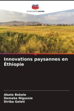 Innovations paysannes en Éthiopie