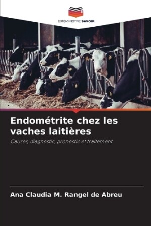 Endométrite chez les vaches laitières