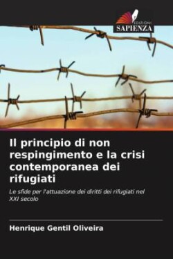 Il principio di non respingimento e la crisi contemporanea dei rifugiati