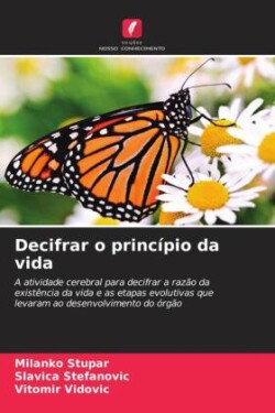 Decifrar o princípio da vida