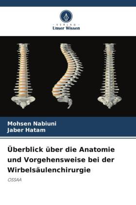 Überblick über die Anatomie und Vorgehensweise bei der Wirbelsäulenchirurgie