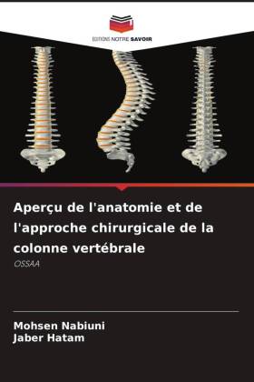 Aperçu de l'anatomie et de l'approche chirurgicale de la colonne vertébrale