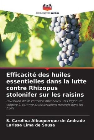 Efficacité des huiles essentielles dans la lutte contre Rhizopus stolonifer sur les raisins