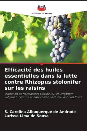 Efficacité des huiles essentielles dans la lutte contre Rhizopus stolonifer sur les raisins