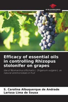 Efficacy of essential oils in controlling Rhizopus stolonifer on grapes