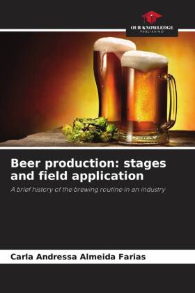 Beer production: stages and field application