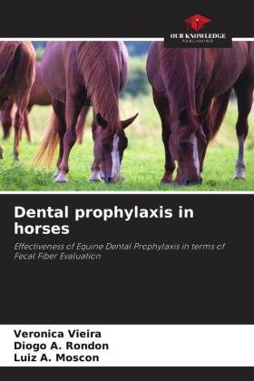 Dental prophylaxis in horses