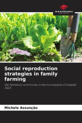 Social reproduction strategies in family farming