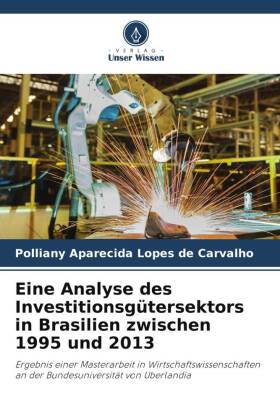 Eine Analyse des Investitionsgütersektors in Brasilien zwischen 1995 und 2013