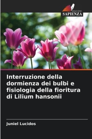 Interruzione della dormienza dei bulbi e fisiologia della fioritura di Lilium hansonii