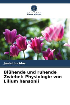 Blühende und ruhende Zwiebel: Physiologie von Lilium hansonii