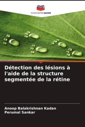 Détection des lésions à l'aide de la structure segmentée de la rétine