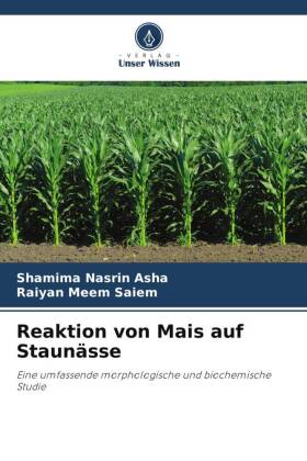 Reaktion von Mais auf Staunässe