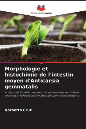 Morphologie et histochimie de l'intestin moyen d'Anticarsia gemmatalis