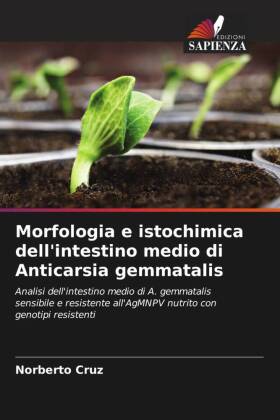 Morfologia e istochimica dell'intestino medio di Anticarsia gemmatalis