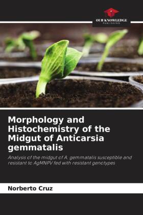 Morphology and Histochemistry of the Midgut of Anticarsia gemmatalis