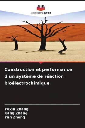 Construction et performance d'un système de réaction bioélectrochimique