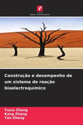 Construção e desempenho de um sistema de reação bioelectroquímico