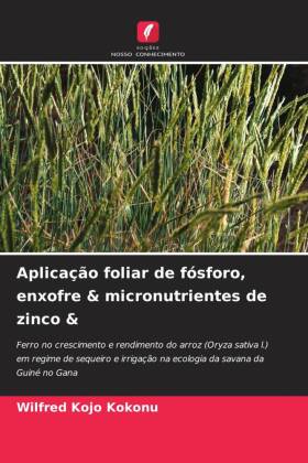 Aplicação foliar de fósforo, enxofre & micronutrientes de zinco &