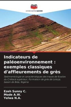 Indicateurs de paléoenvironnement : exemples classiques d'affleurements de grès