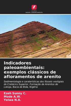 Indicadores paleoambientais: exemplos clássicos de afloramentos de arenito