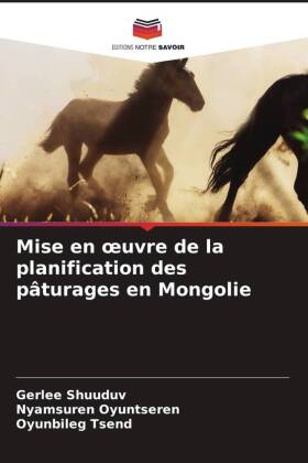 Mise en oeuvre de la planification des pâturages en Mongolie