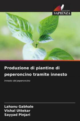 Produzione di piantine di peperoncino tramite innesto