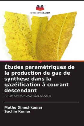 Études paramétriques de la production de gaz de synthèse dans la gazéification à courant descendant