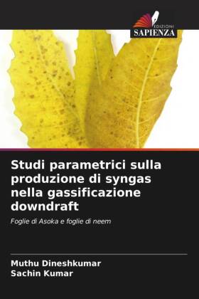 Studi parametrici sulla produzione di syngas nella gassificazione downdraft