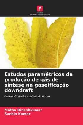 Estudos paramétricos da produção de gás de síntese na gaseificação downdraft