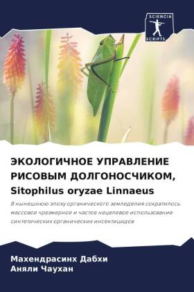 JeKOLOGIChNOE UPRAVLENIE RISOVYM DOLGONOSChIKOM, Sitophilus oryzae Linnaeus