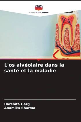 L'os alvéolaire dans la santé et la maladie