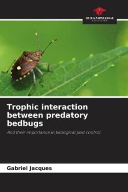 Trophic interaction between predatory bedbugs