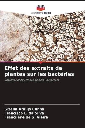 Effet des extraits de plantes sur les bactéries