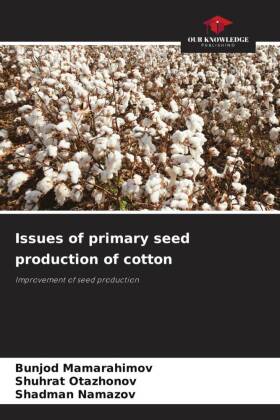 Issues of primary seed production of cotton